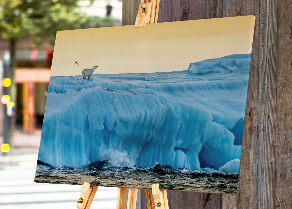 Lední medvěd ráno