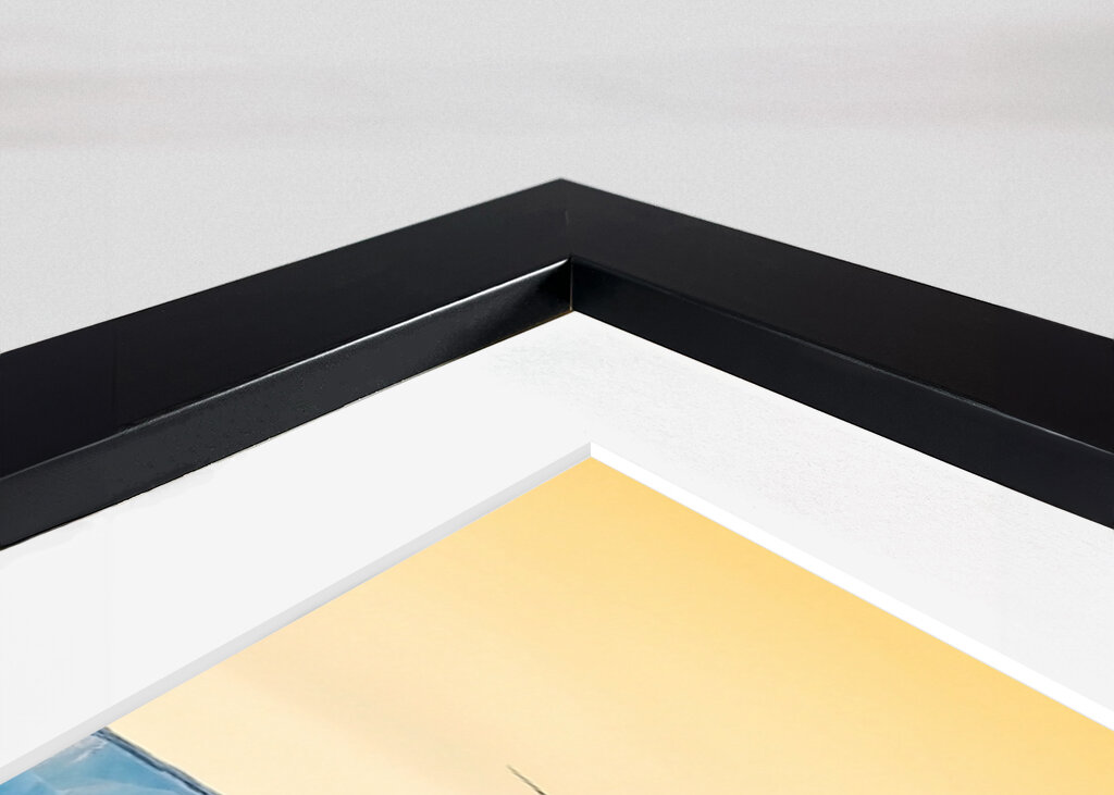 Lední medvěd ráno