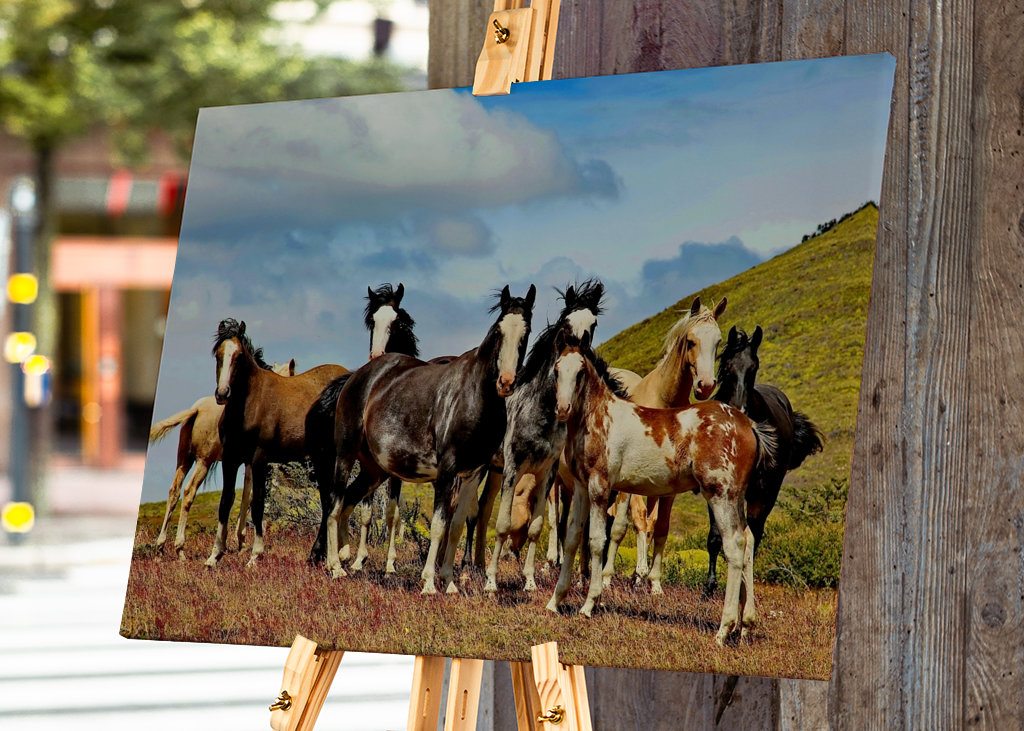 Horses in Patagonia 1