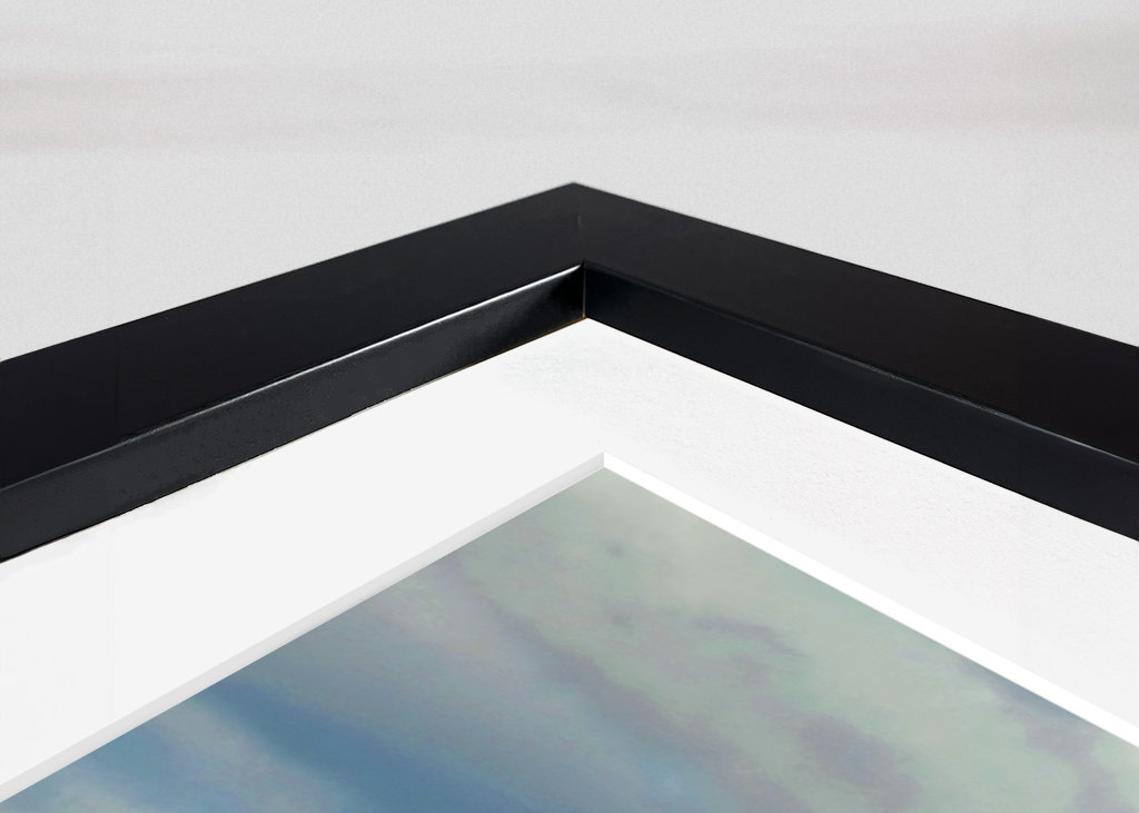 Horses in Patagonia 1