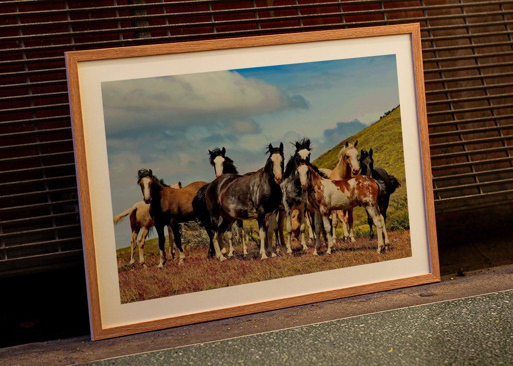 Horses in Patagonia 1