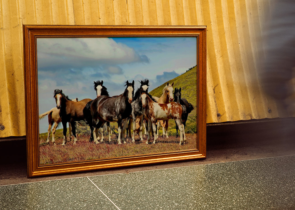 Horses in Patagonia 1