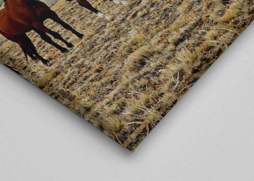 Pferde in Patagonien 2