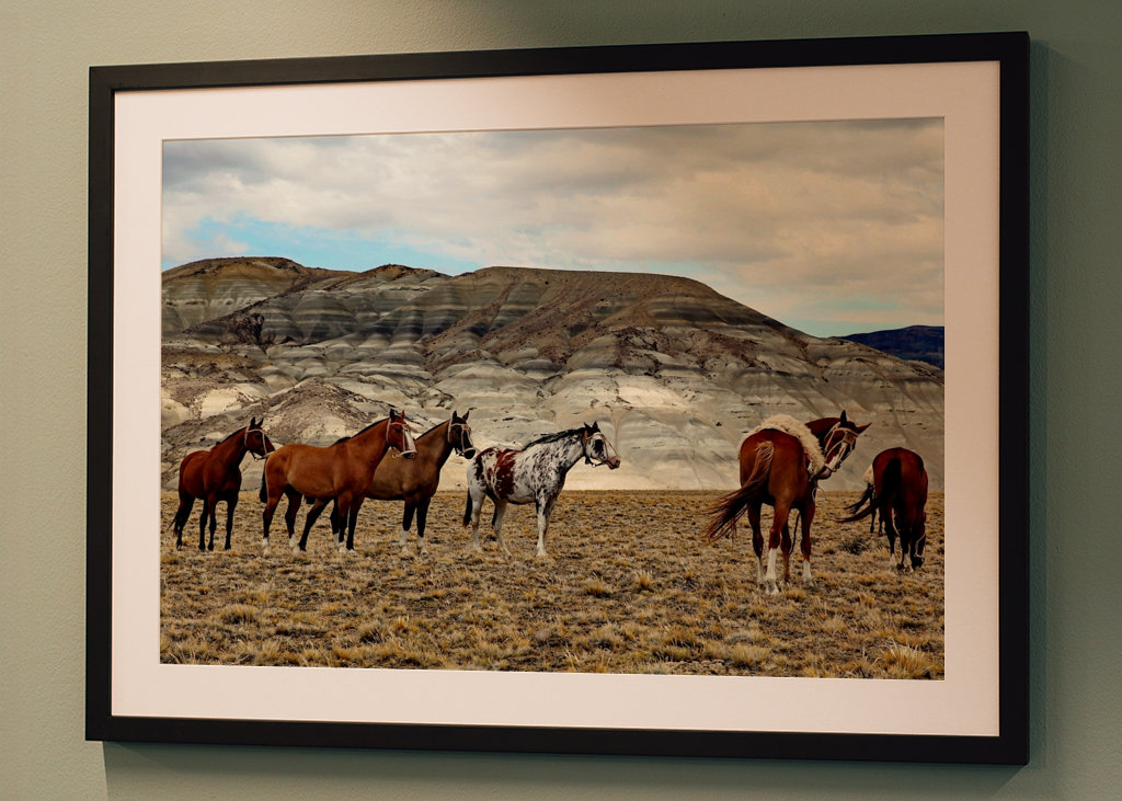 Pferde in Patagonien 2