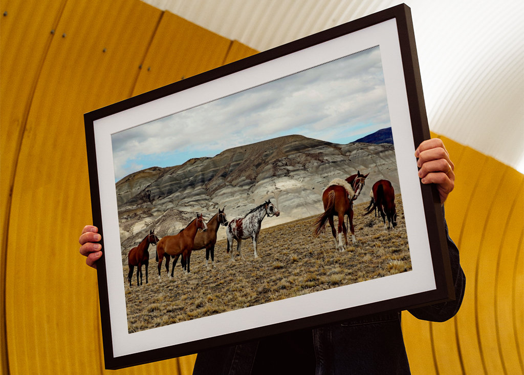 Pferde in Patagonien 2