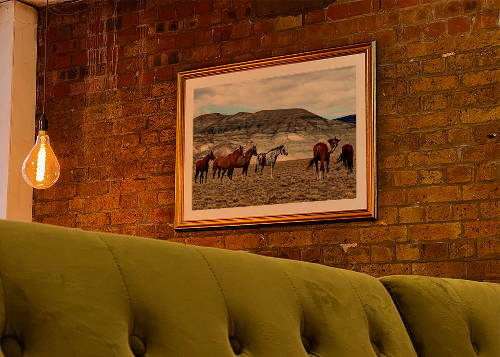 Pferde in Patagonien 2