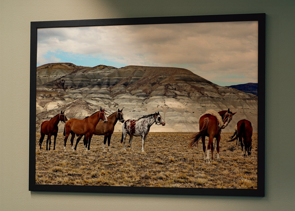 Pferde in Patagonien 2