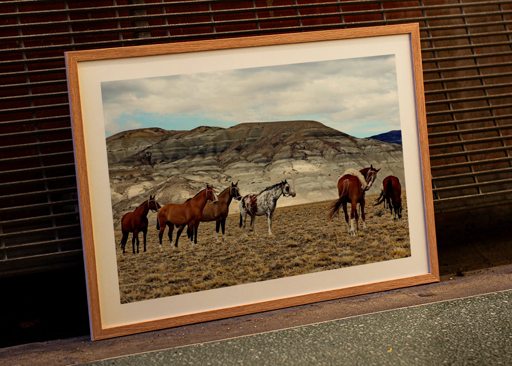 Pferde in Patagonien 2