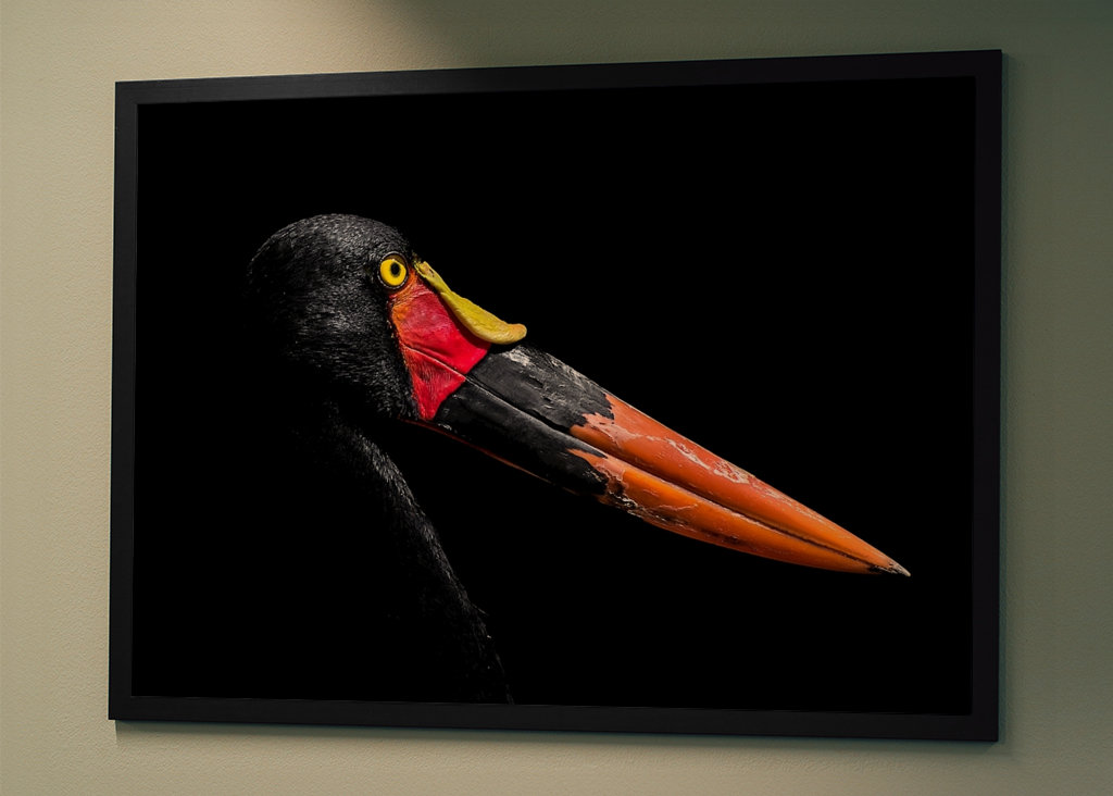 Satula laskutettu haikara