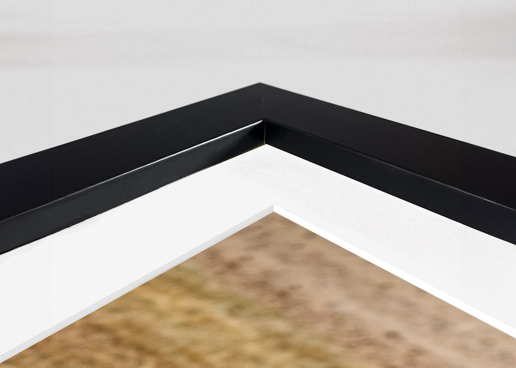 Samec lva ležící na trávě