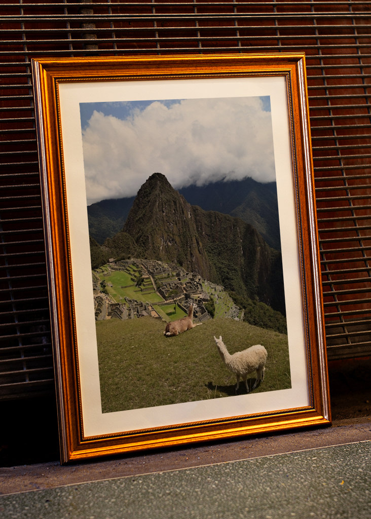 Aventura en Machu Picchu