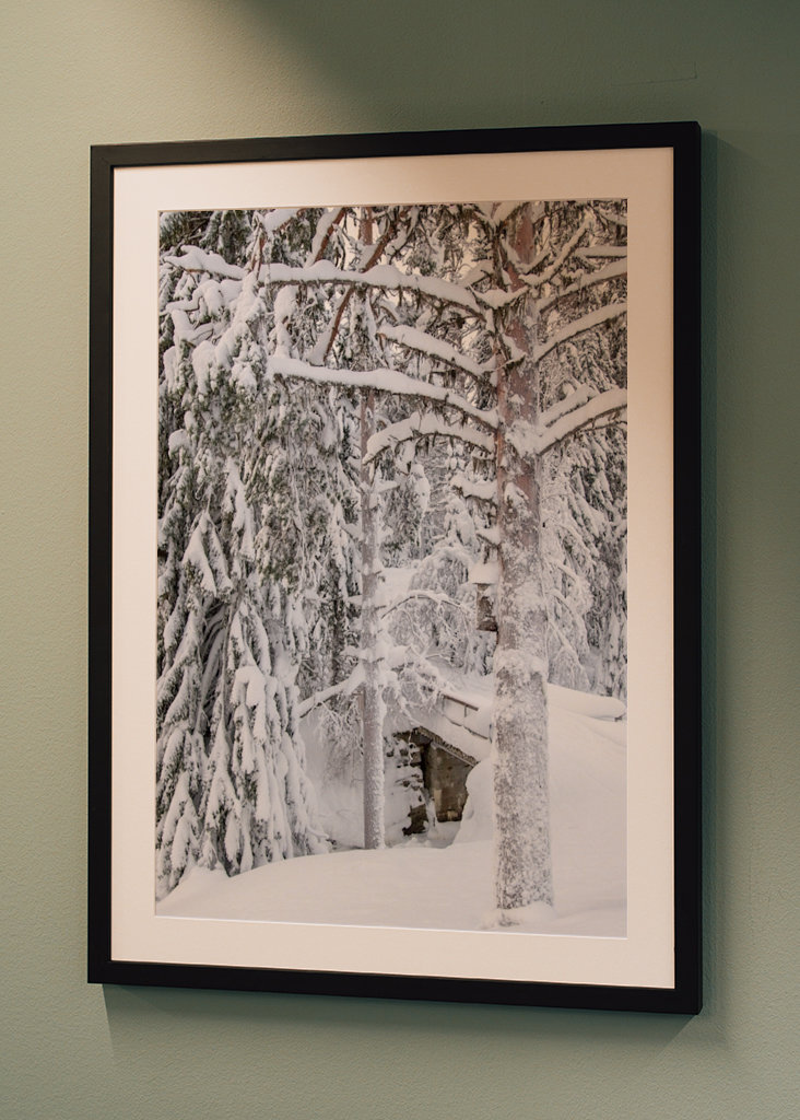 Was sich im Schnee verbirgt...