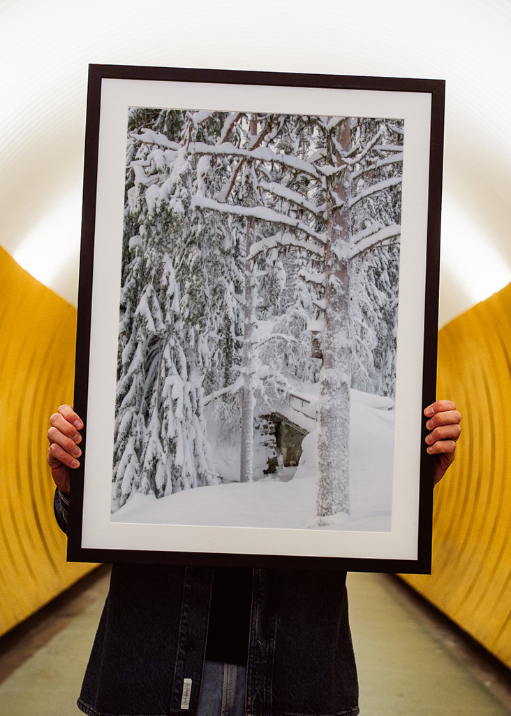 Was sich im Schnee verbirgt...