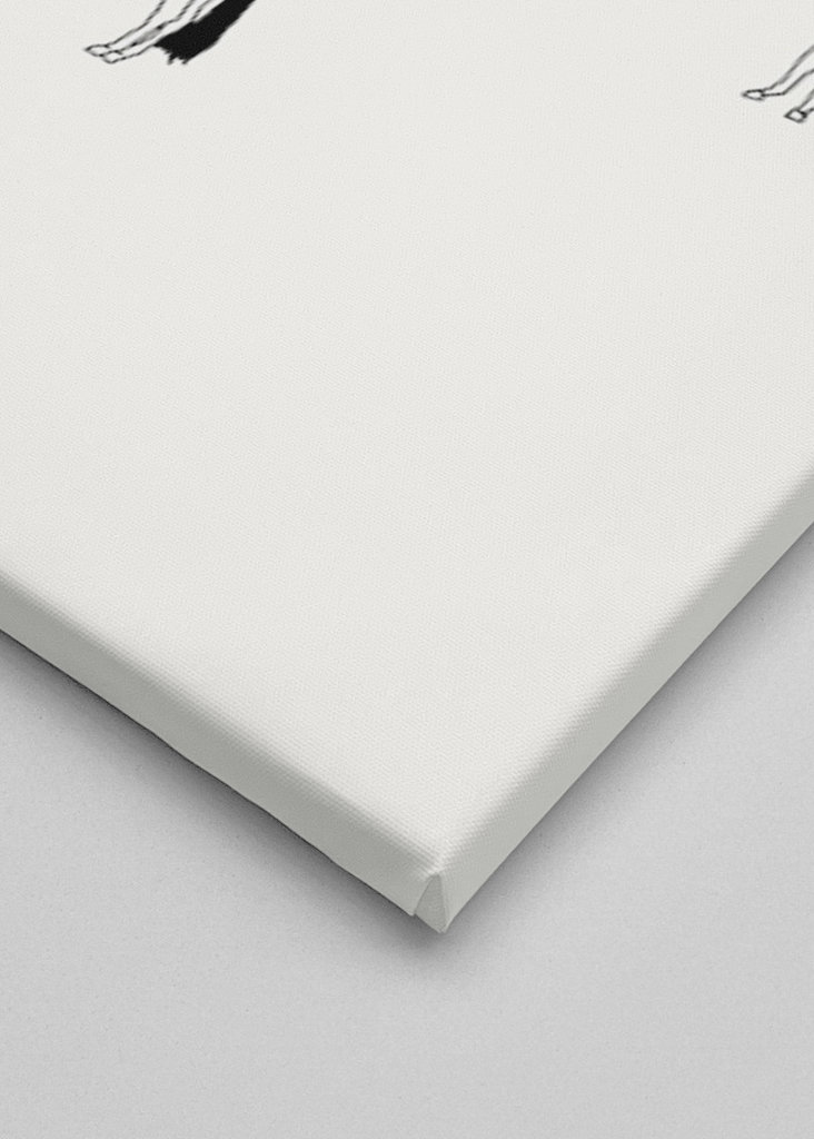 inte alla hästar hemma