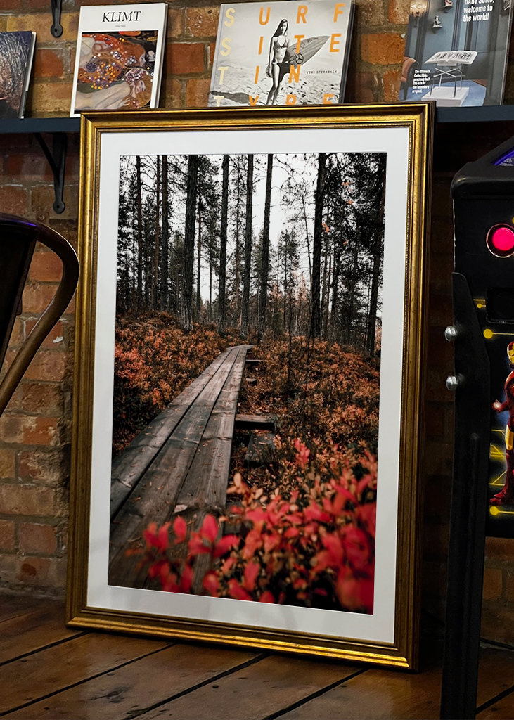 In the woods of Masugnsbyn 