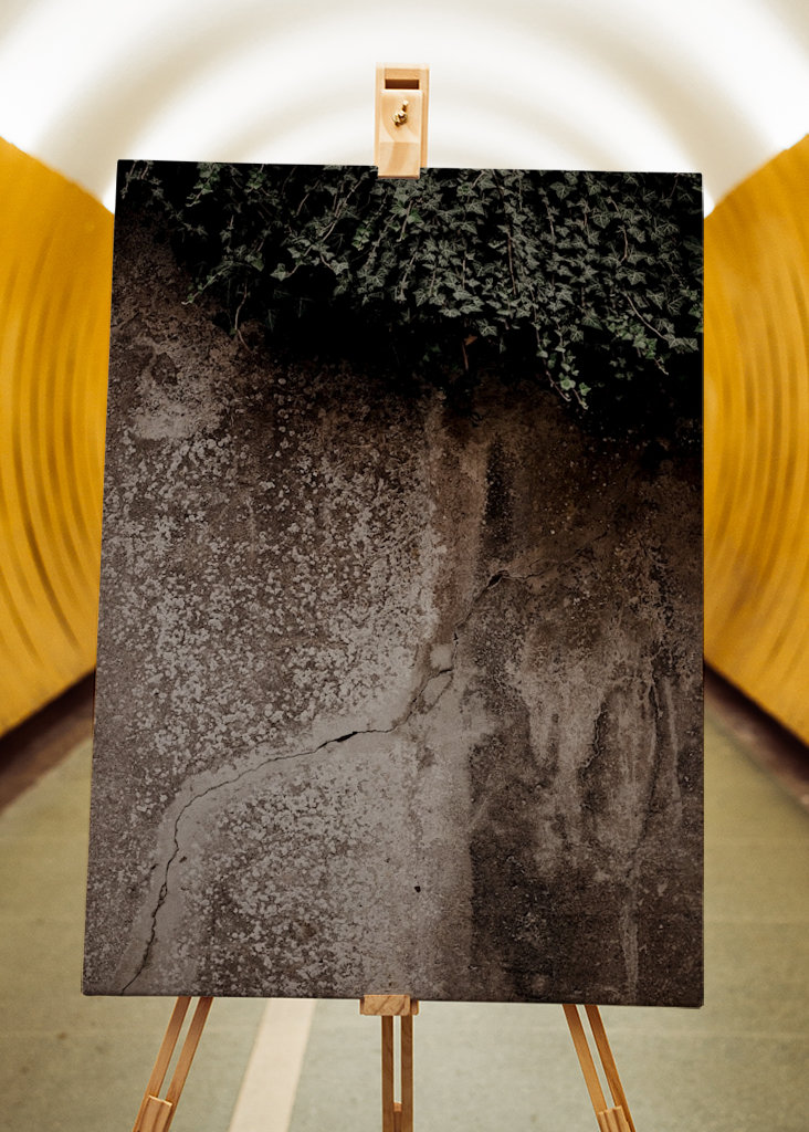 V JEDNODUCHÉM DUCHU