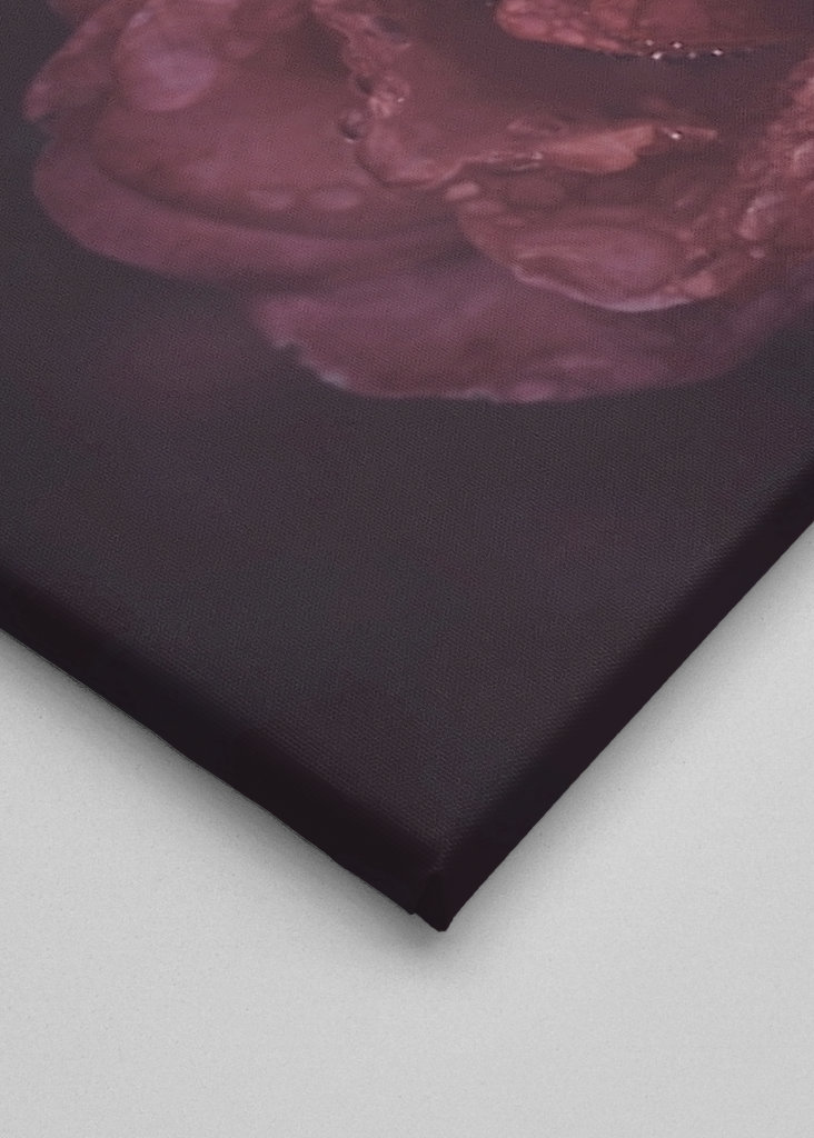 Cry me a river of roses