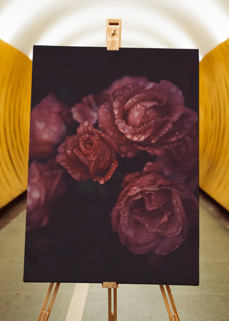 Cry me a river of roses