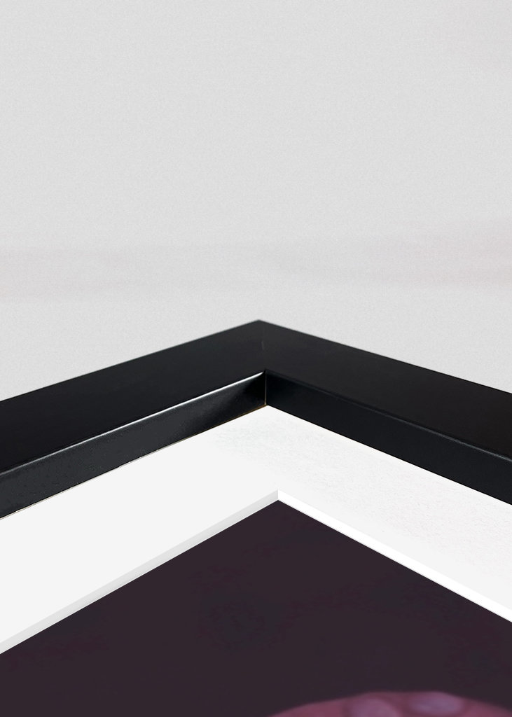 Cry me a river of roses