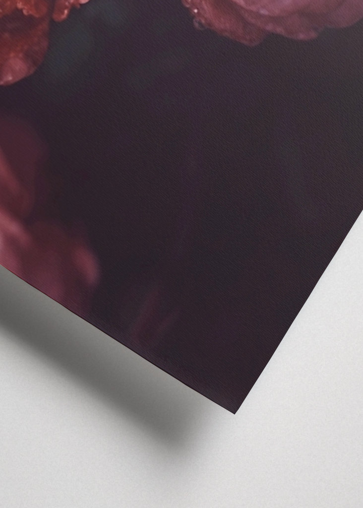 Cry me a river of roses