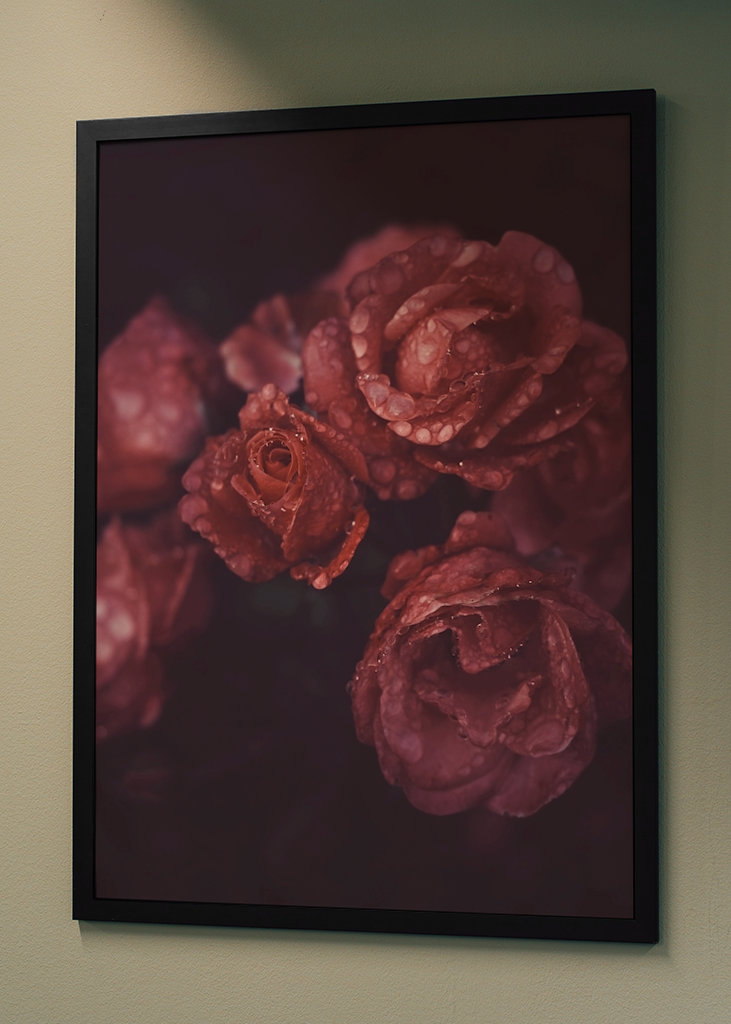 Cry me a river of roses