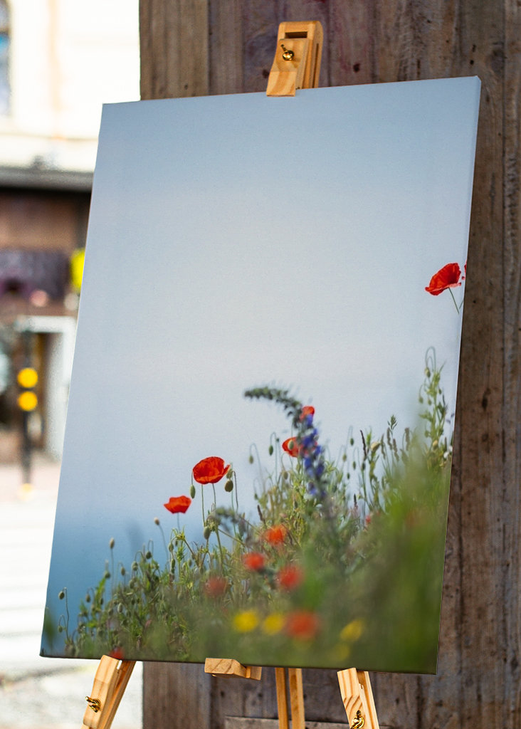 Začátek léta v Österlenu