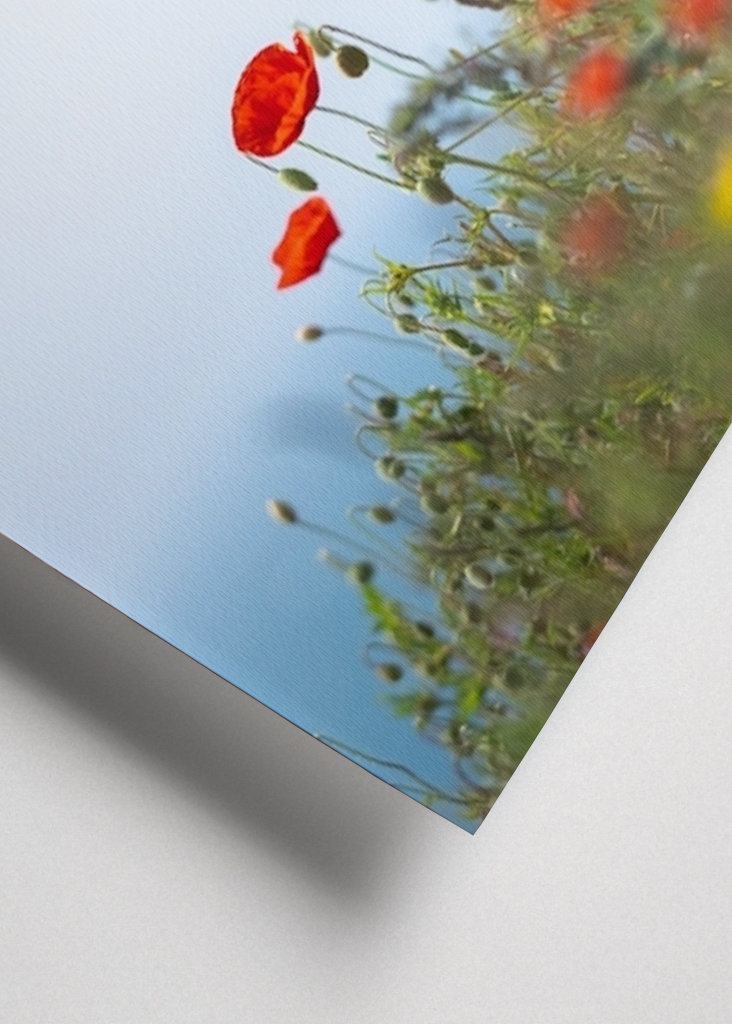 Začátek léta v Österlenu