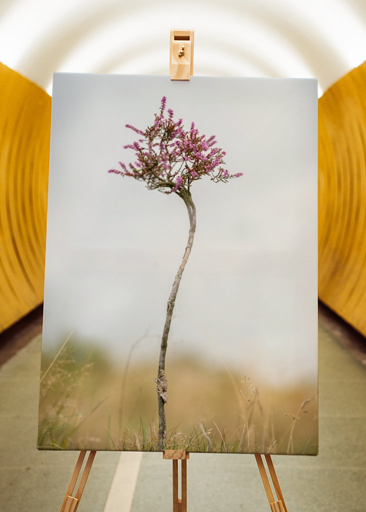 Malý vřes sám na blatech