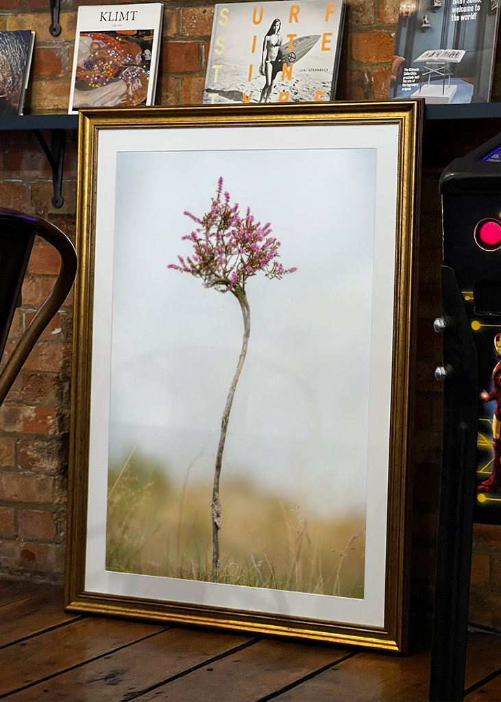 Malý vřes sám na blatech