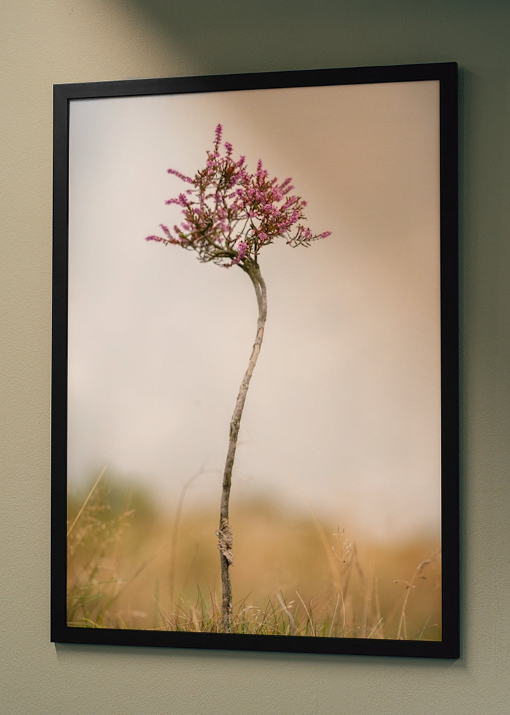 Malý vřes sám na blatech