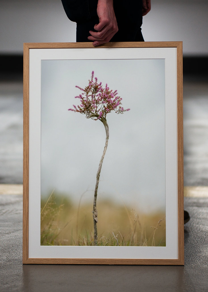 Malý vřes sám na blatech