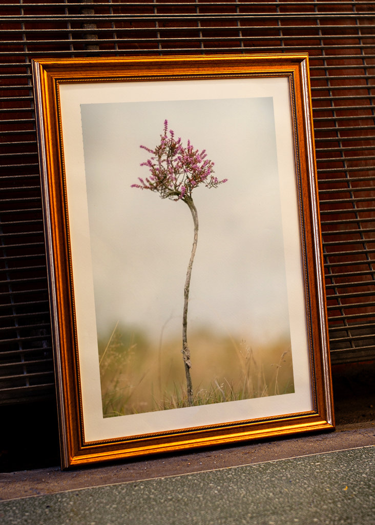 Malý vřes sám na blatech