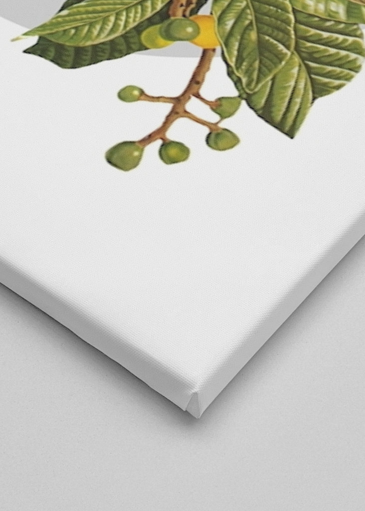 Hidden Treasures Part 1