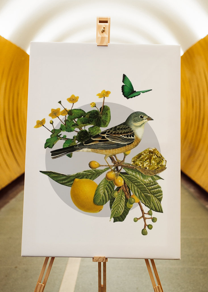 Hidden Treasures Part 1