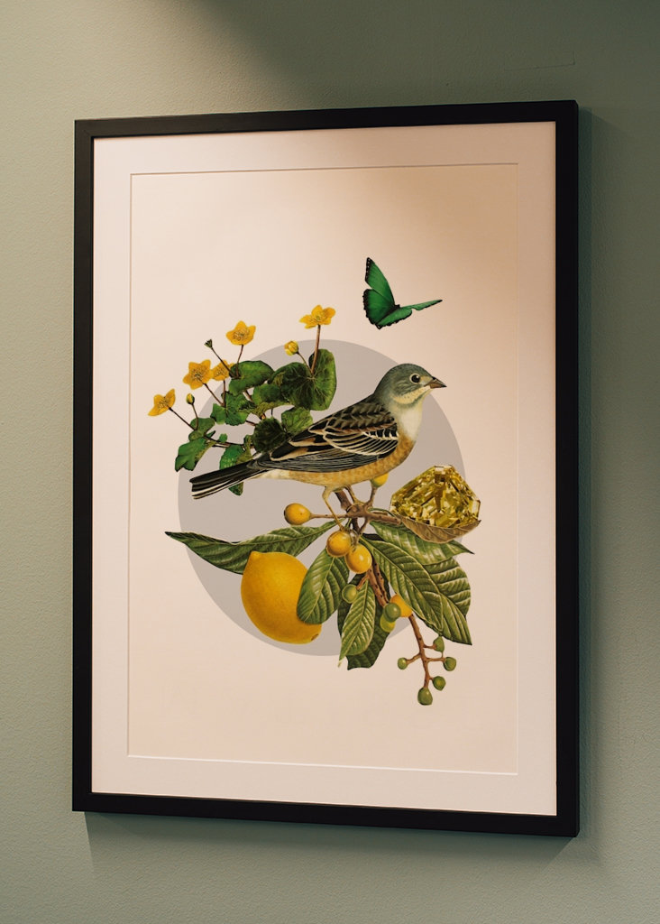 Hidden Treasures Part 1