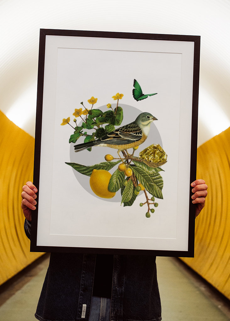 Hidden Treasures Part 1