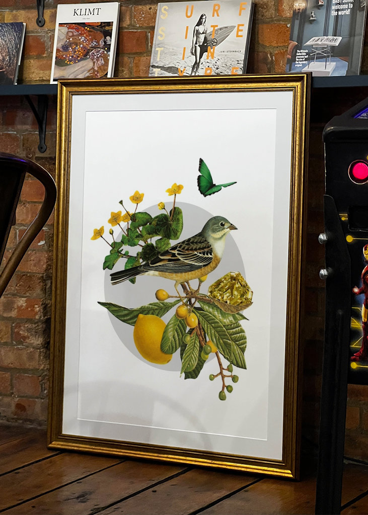 Hidden Treasures Part 1