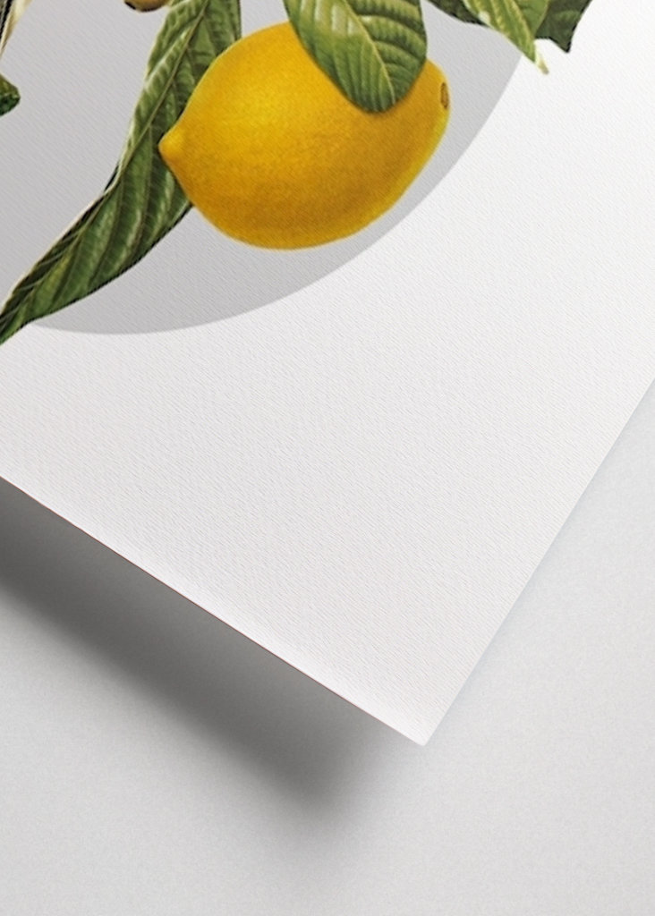 Hidden Treasures Part 1