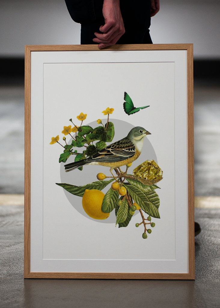 Hidden Treasures Part 1