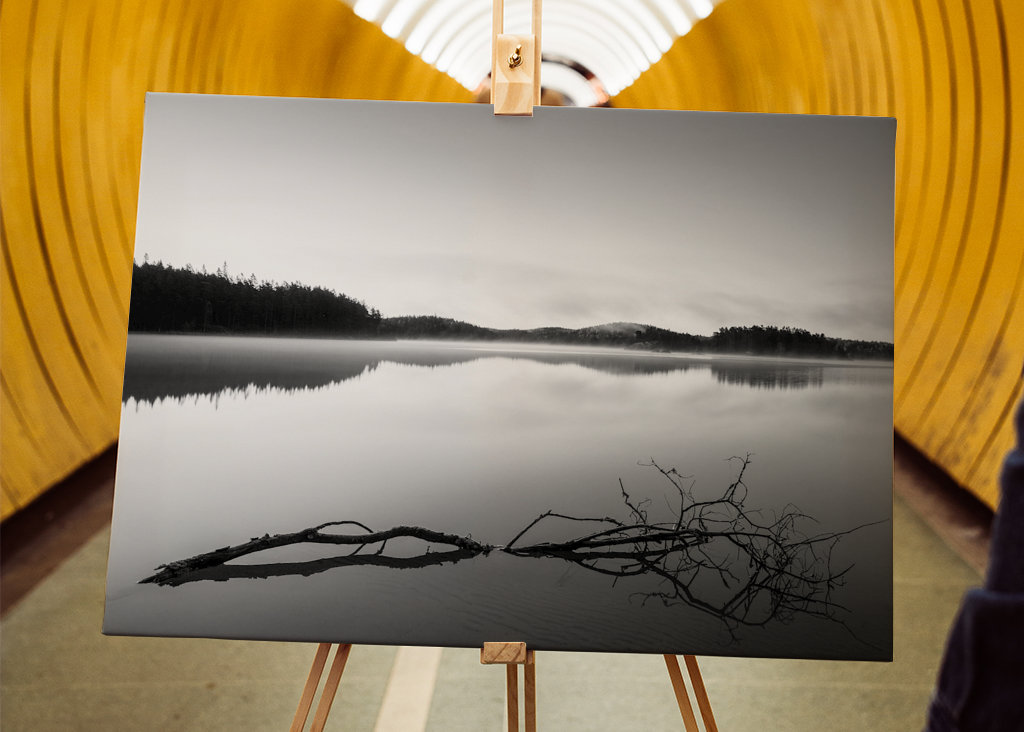 Stilla morgon över skogssjö