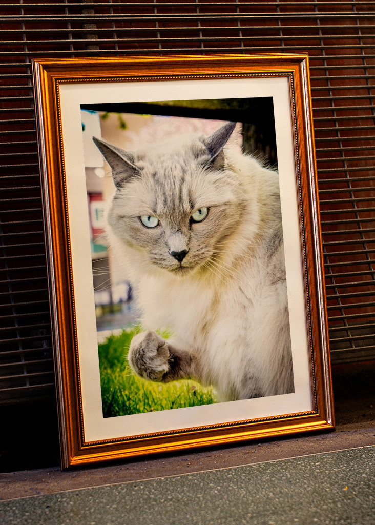 Odsudzujúci pohľad