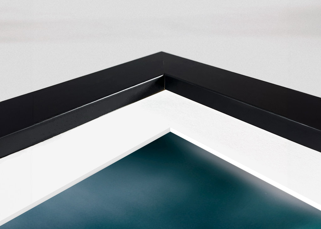 Phalaenopsis Brudorkidé