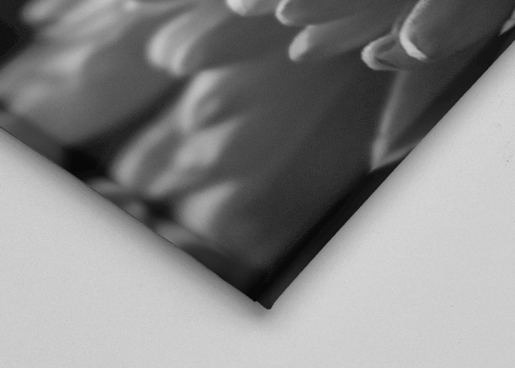 Sort og hvid blomst tæt på