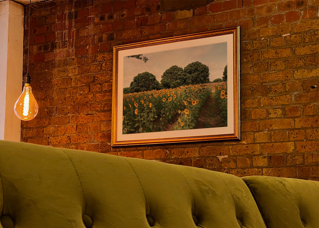 Kvetoucí slunečnice.