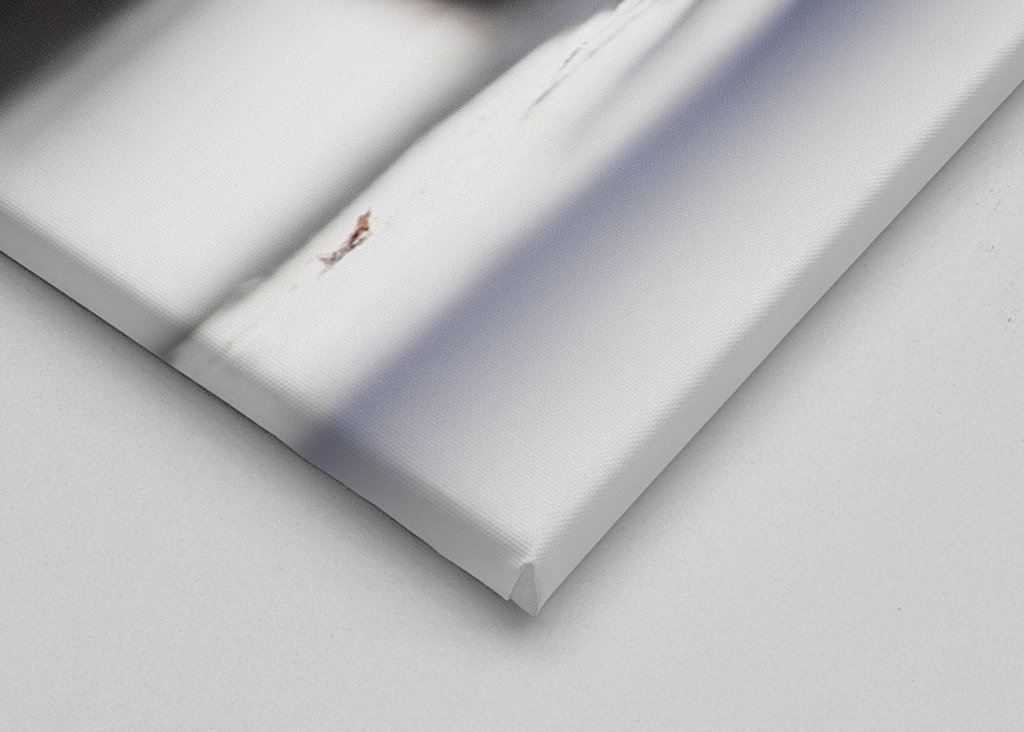 Relaxační Welsh Corgi Pembroke