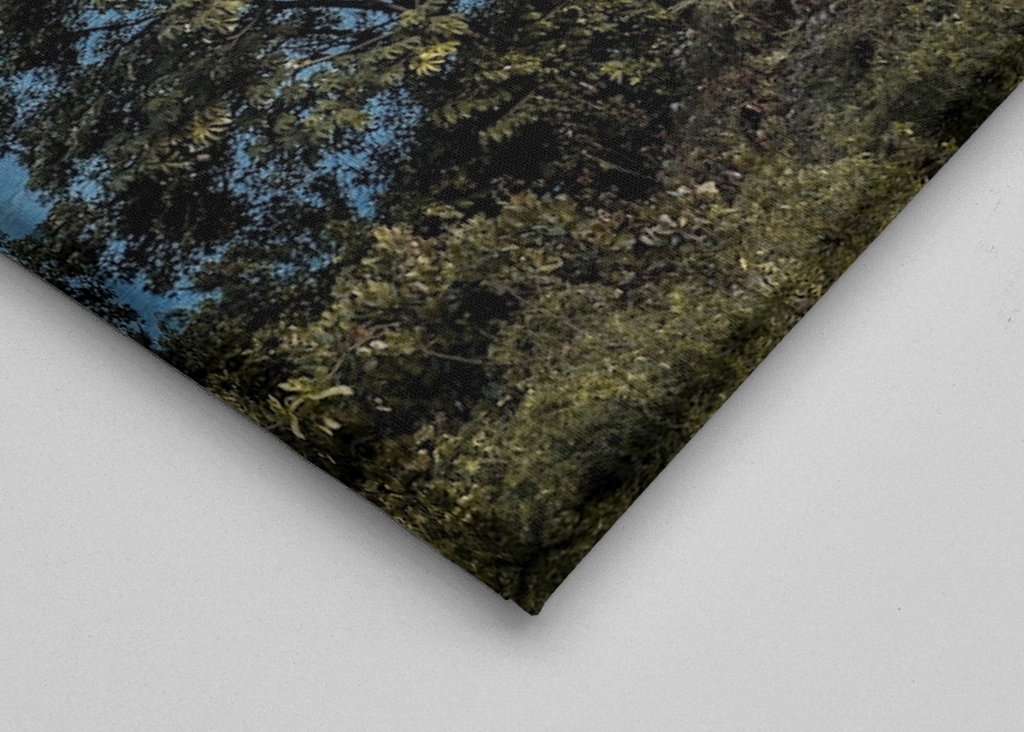 The mountains and the Lake