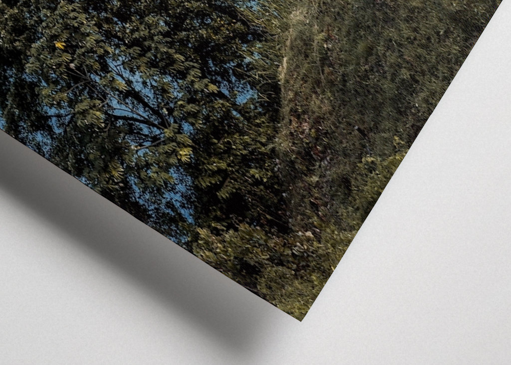 The mountains and the Lake