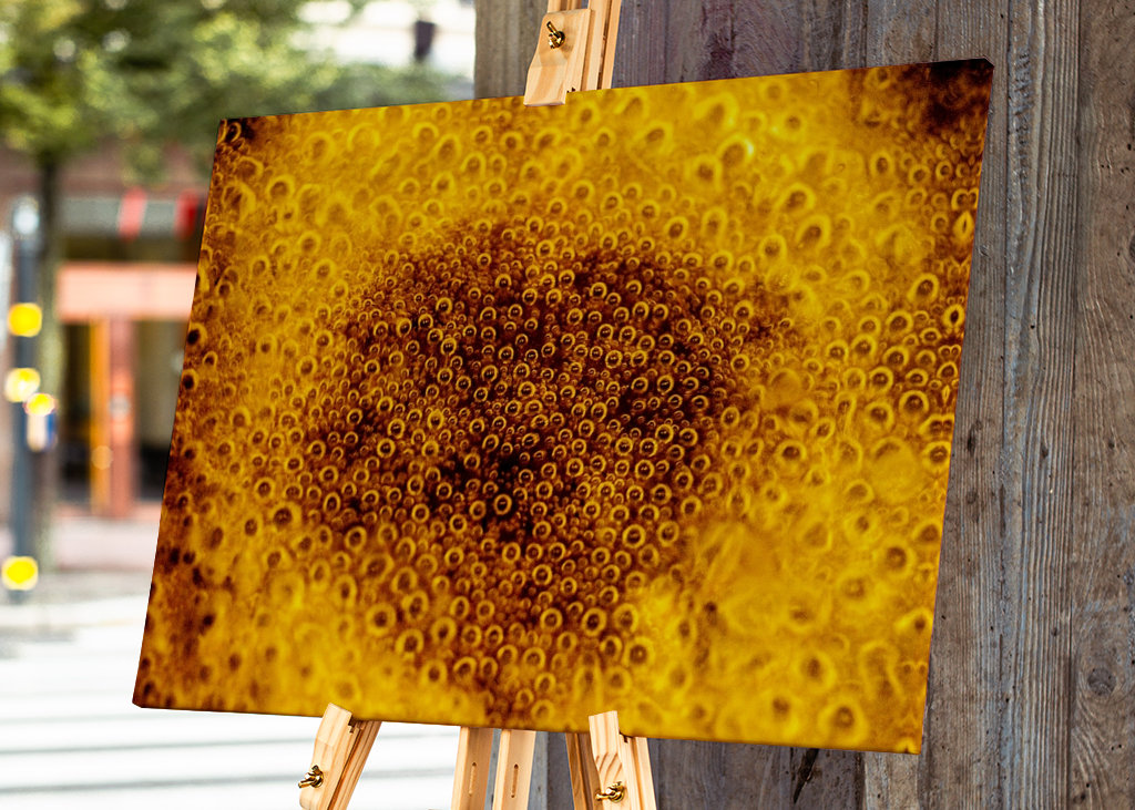 The eyes of the water