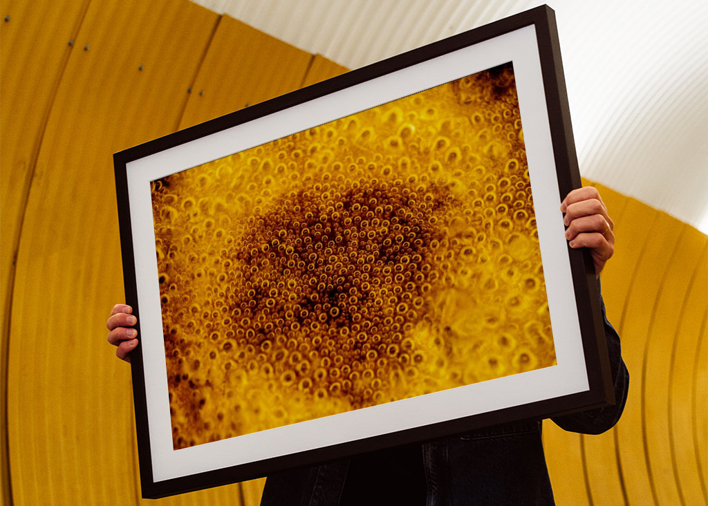 The eyes of the water