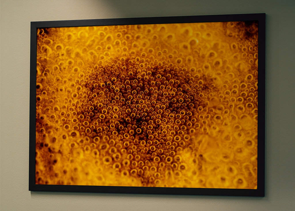 The eyes of the water